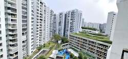 Blk 475D Parkland Residences (Hougang), HDB 4 Rooms #456575131